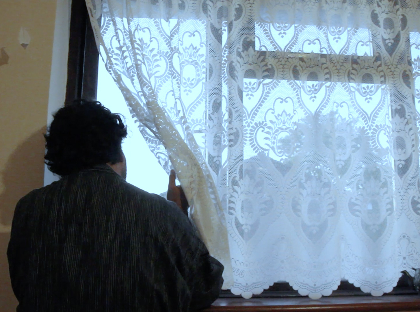 A person seen from behind, peering through a lace curtain to look out of a window